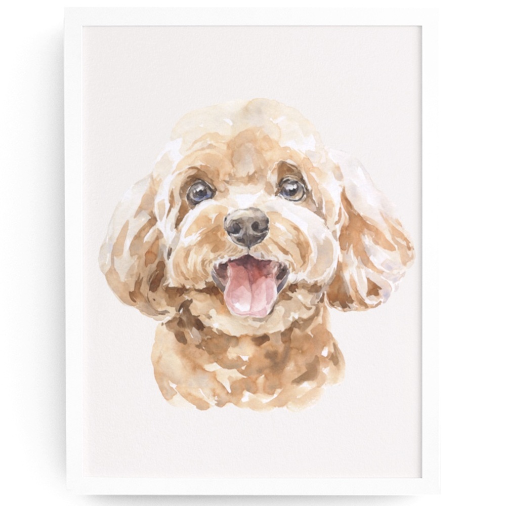 Watercolor Toy Poodle Pet Dog Wall Art Illustration Print Poster Card Unframed - Picture 2 of 7